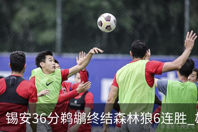 锡安36分鹈鹕终结森林狼6连胜 雄鹿险胜公牛